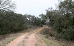 Lavaca County Ranch for Sale