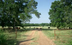 texas ranches for sale