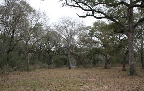texas ranch for sale