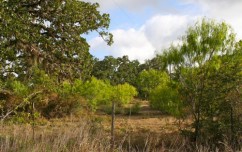 texas ranch for sale