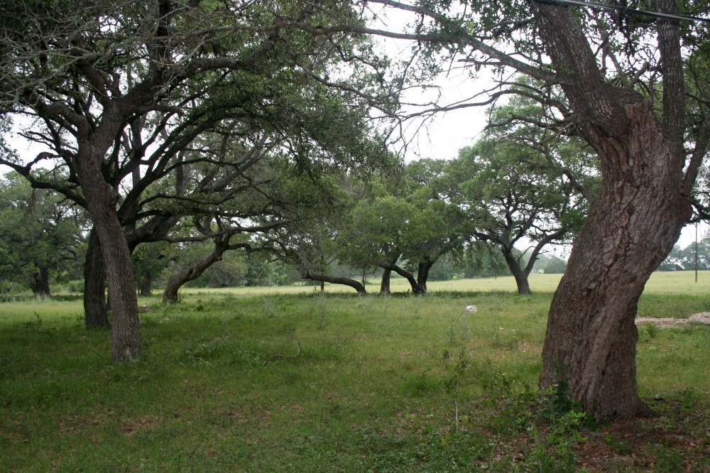 Fayette County TX 72 acres for sale