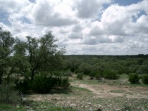 Real County TX Ranch for Sale