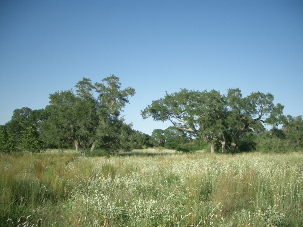 Jackson County TX Ranch for Sale
