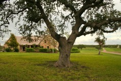 Bee County TX Ranch for Sale