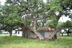 37 acre ranch for sale Fayette County Texas