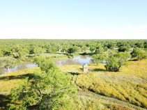 Incredible South Texas Ranch for Sale