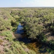 DJI_0299