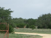 Kerr County Ranch for Sale