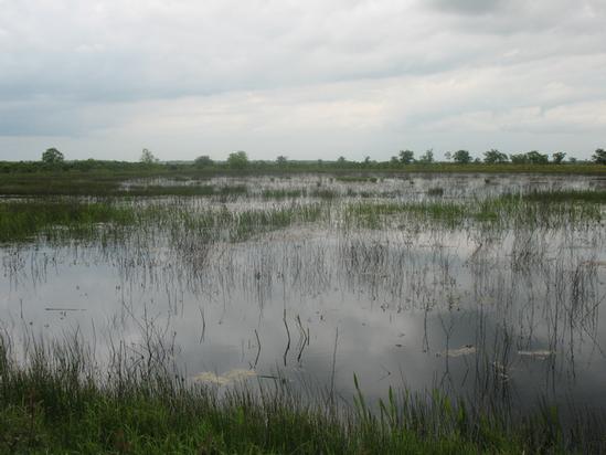 Colorado County TX Ranch For Sale