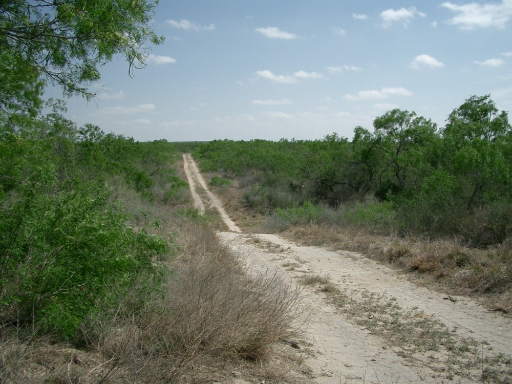 South Texas Jim Wells County Hunting Ranch for Sale