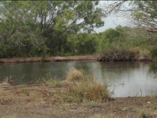 Live Oak County Ranch for sale