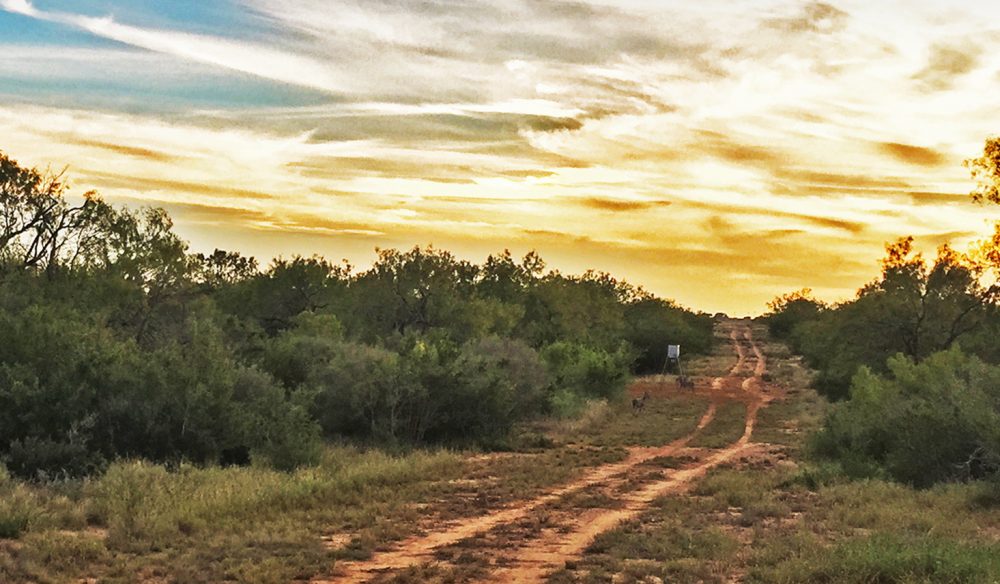 South Texas La Gloria Land Company