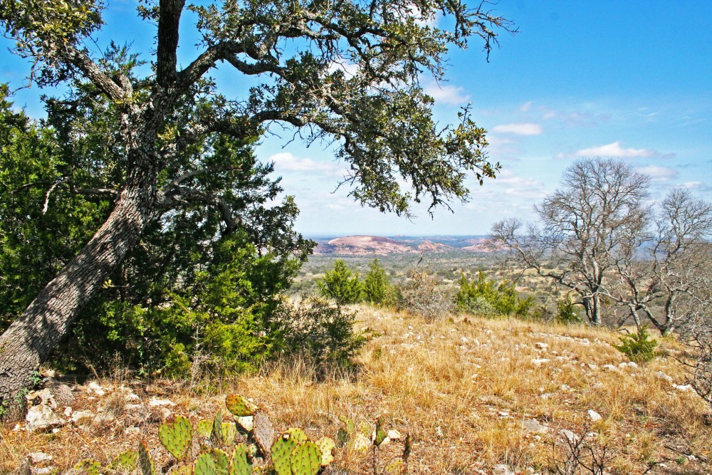 Mountain Springs Ranch