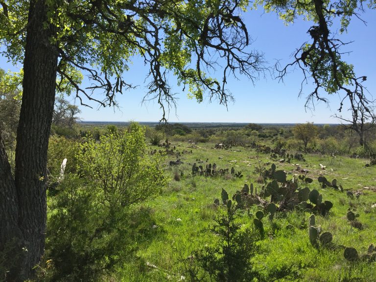 Lampasas Ranch for Sale