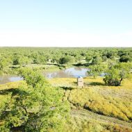 Incredible South Texas Ranch for Sale