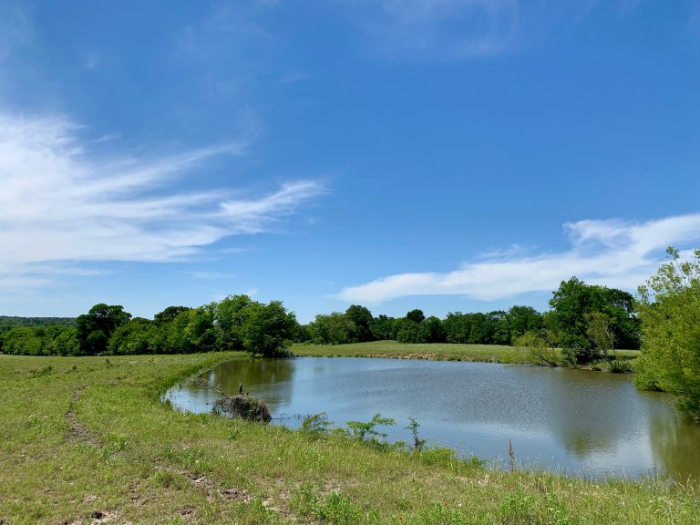 Possum Walk Ranch